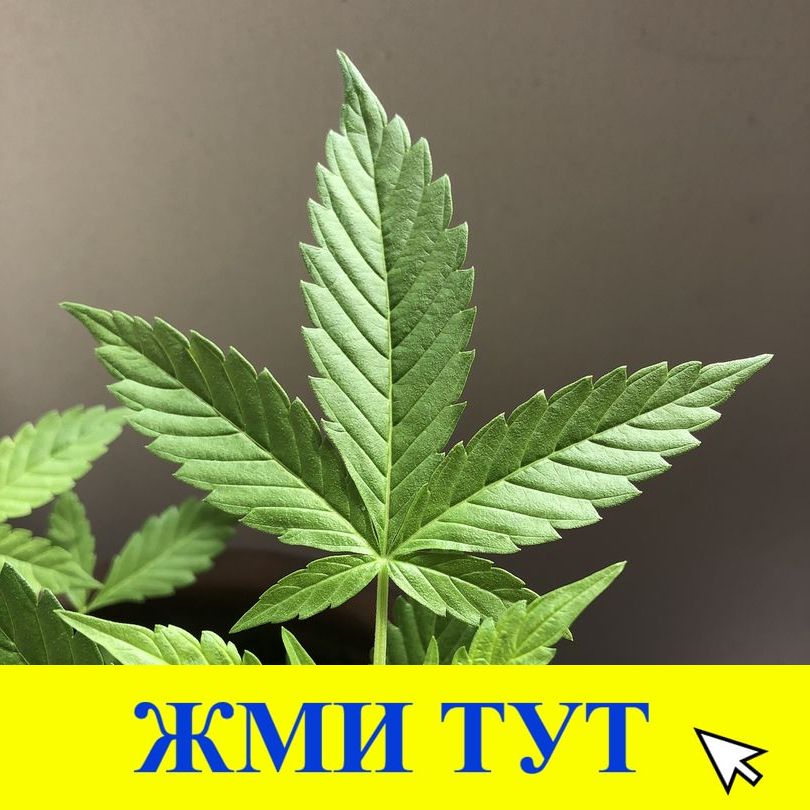 Купить наркотики в Магнитогорске